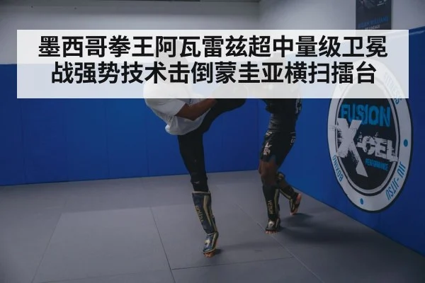 墨西哥拳王阿瓦雷兹超中量级卫冕战强势技术击倒蒙圭亚横扫擂台